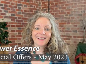 Jackie - May Flower Essence Special Offers