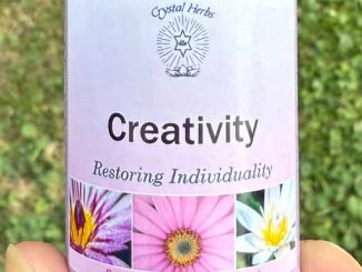 A bottle of Creativity Essence held in a hand